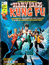 the deadly hands of kung fu